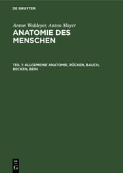 Cover von Allgemeine Anatomie, Rücken, Bauch, Becken, Bein