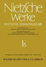 Cover von Nachgelassene Aufzeichnungen. Frühjahr 1868 - Herbst 1869