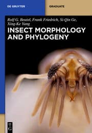 Cover von Insect Morphology and Phylogeny