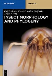 Cover von Insect Morphology and Phylogeny
