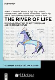 Cover von The River of Life: Sustainability in a Native American Context