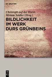 Cover von Bildlichkeit im Werk Durs Grünbeins