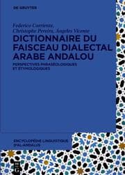 Cover von Dictionnaire du faisceau dialectal arabe andalou