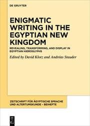 Cover von [Set Enigmatic Writing in the Egyptian New Kingdom, Vol 1+2]
