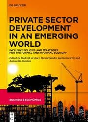 Cover von Private Sector Development in an Emerging World