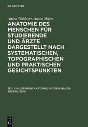 Cover von Allgemeine Anatomie, Rücken, Bauch, Becken, Bein