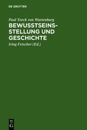 Cover von Bewusstseinsstellung und Geschichte