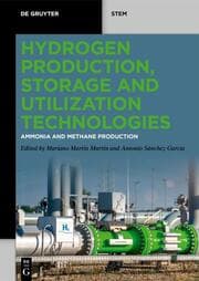 Cover von Hydrogen Production, Storage and Utilization Technologies