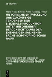 Cover von Historische Entwicklung und zukünftige Tendenzen der Siedesalz-Produktion unter besonderer Berücksichtigung der ehemaligen Salinen im sächsisch-thüringischen Raum