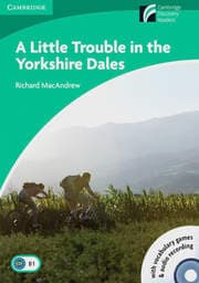 Cover von A Little Trouble in the Yorkshire Dales