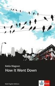 Cover von How It Went Down