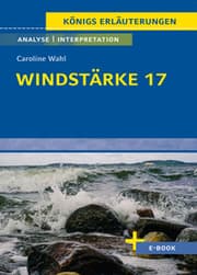 Cover von Windstärke 17 von Caroline Wahl