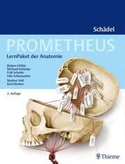 Cover von Prometheus: LernPaket der Anatomie - Schädel