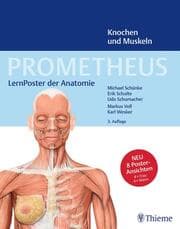 Cover von PROMETHEUS LernPoster der Anatomie, Knochen und Muskeln