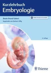 Cover von Kurzlehrbuch Embryologie