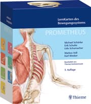 Cover von PROMETHEUS LernKarten des Bewegungssystems