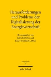 Cover von Herausforderungen und Probleme der Digitalisierung der Energiewirtschaft