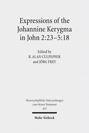 Cover von Expressions of the Johannine Kerygma in John 2:23-5:18