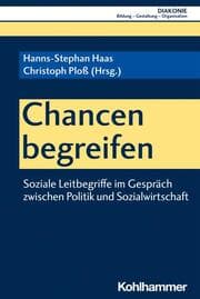 Cover von Chancen begreifen