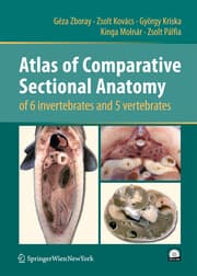 Cover von Atlas of Comparative Sectional Anatomy of 6 invertebrates and 5 vertebrates