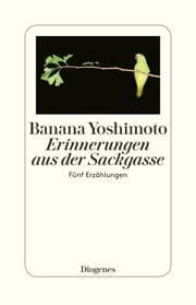 Cover von Erinnerungen aus der Sackgasse