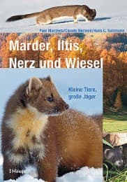 Cover von Marder, Iltis, Nerz und Wiesel