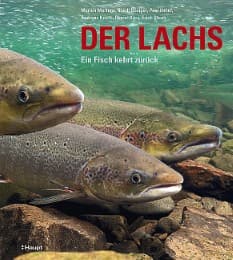 Cover von Der Lachs