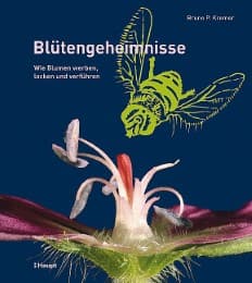 Cover von Blütengeheimnisse