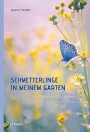 Cover von Schmetterlinge in meinem Garten