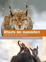 Cover von Atlante dei mammiferi della Svizzera e del Liechtenstein