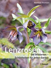 Cover von Lenzrosen