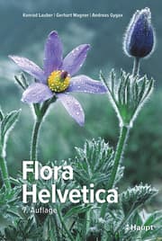 Cover von Flora Helvetica - Illustrierte Flora der Schweiz