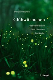 Cover von Glühwürmchen
