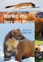 Cover von Marder, Iltis, Nerz und Wiesel