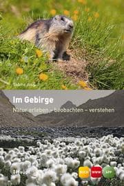 Cover von Im Gebirge