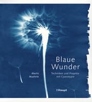 Cover von Blaue Wunder