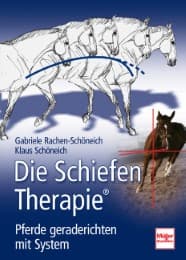 Cover von Die Schiefen-Therapie