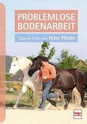 Cover von Problemlose Bodenarbeit