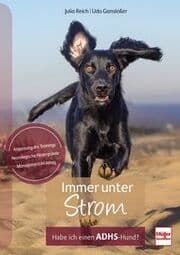 Cover von Immer unter Strom