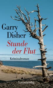 Cover von Stunde der Flut