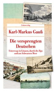 Cover von Die versprengten Deutschen