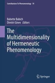 Cover von The Multidimensionality of Hermeneutic Phenomenology