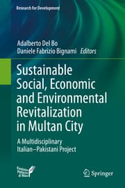 Cover von Sustainable Social, Economic and Environmental Revitalization in Multan City