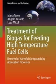 Cover von Treatment of Biogas for Feeding High Temperature Fuel Cells