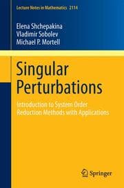 Cover von Singular Perturbations