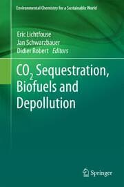 Cover von CO2 Sequestration, Biofuels and Depollution