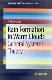 Cover von Rain Formation in Warm Clouds