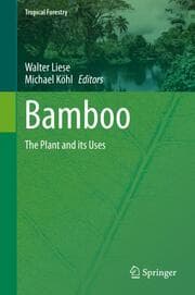 Cover von Bamboo
