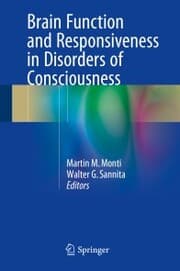 Cover von Brain Function and Responsiveness in Disorders of Consciousness