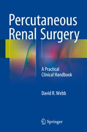 Cover von Percutaneous Renal Surgery